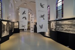 2_w-academie-beeld-expo©pdg-2358-640x480