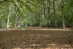 TVK-herfstwandeling©pdg-7790-640x480
