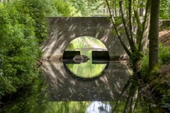 TVK-herfstwandeling©pdg-7800-640x480