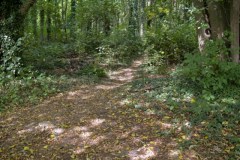 TVK-herfstwandeling©pdg-7823-640x480