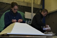 b-WR-suikerklontjes©pdg-9261-640x480