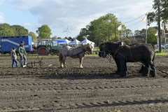 b-dag-van-de-landbouw©pdg-0294-640x480