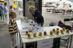 b-de-schakel©pdg-7991-640x480