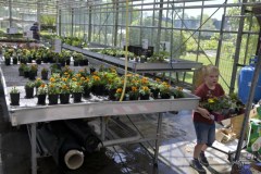 b-kki-bloemenverkoop©pdg-0621-640x480