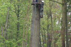 b-roefeldag©pdg-9980-640x480