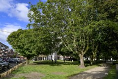 gelmelenparkbomen©pdg-1898-640x480