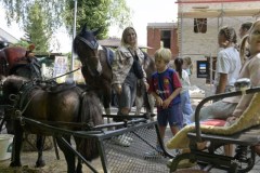 pampas-royal-buurtdag©pdg-7694-640x480