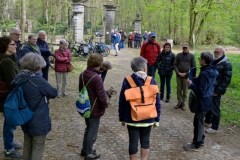 s-lentebloeiers-vmpa-tvk©pdg-9723-640x480