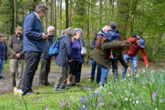 s-lentebloeiers-vmpa-tvk©pdg-9734-640x480