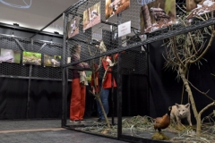 s-vrienden-fotografie©pdg-7674-640x480