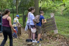 speelplein-horst©pdg-5065-640x480