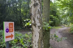 sporthal-de-ekster©pdg-7491-640x480