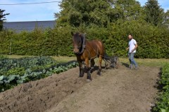 zorgboerderij©pdg-9785-640x480